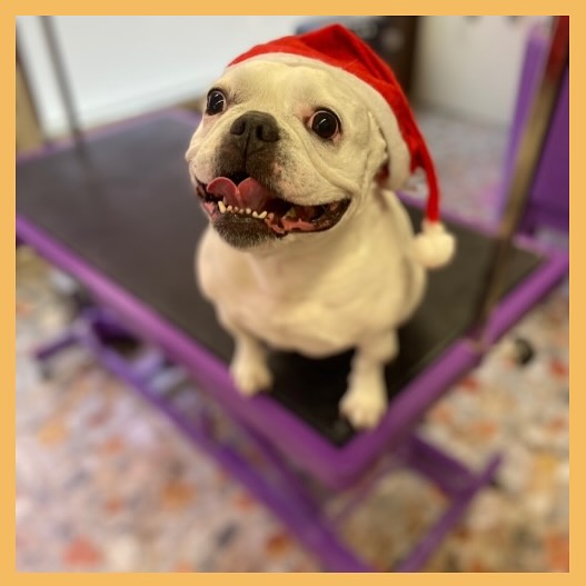 470897479_18015356243661010_1542267939617927988_n